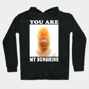 You are my sunshine james Hoodie